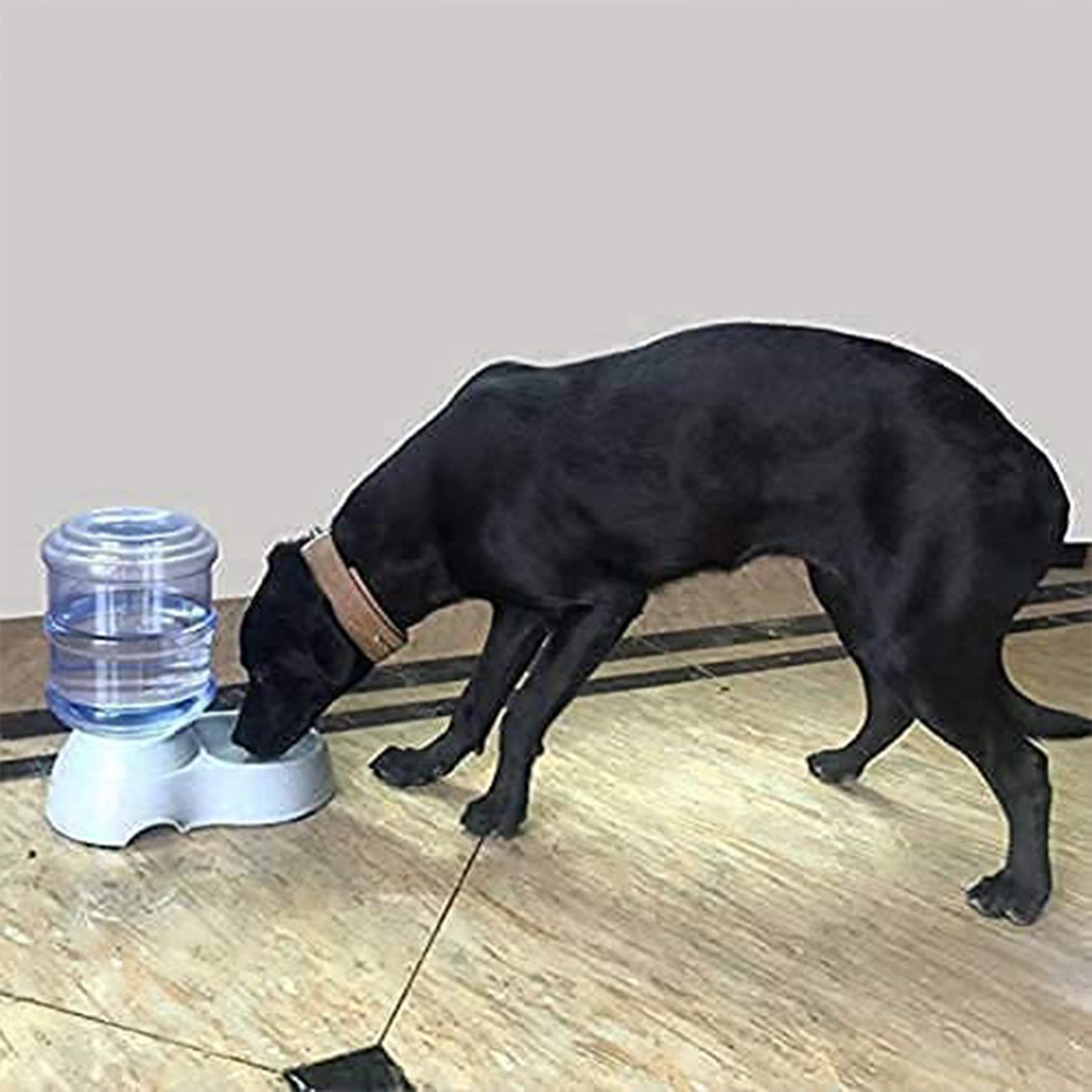 Automatic Pet Water Dispenser Self-dispensing Gravity Pet Feeder Water Cat Dog Feeding Bowl Drinking Water - DanishHub